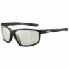 Alpina Defey Mirror Cat 1 - Cycling Glasses