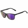 Alpina Jaida Ceramic Mirror S3 - Sunglasses 2 Alpina Jaida Ceramic Mirror S3 - Sunglasses -Outdoor Equipment Sales Shop alpina jaida ceramic mirror s3 sunglasses