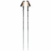 Black Diamond Pursuit FLZ - Walking Poles -Outdoor Equipment Sales Shop black diamond pursuit flz walking poles