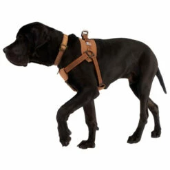 Carhartt Training Harness - Dog Harness -Outdoor Equipment Sales Shop carhartt training harness dog harness detail 6