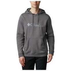 Columbia CSC Basic Logo II Hoodie
