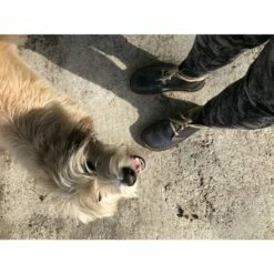 Faborg - Casual Boots -Outdoor Equipment Sales Shop duckfeet faborg bottes a lacets ed0b09d290bdf0b2be3a9ac142cf5980 1