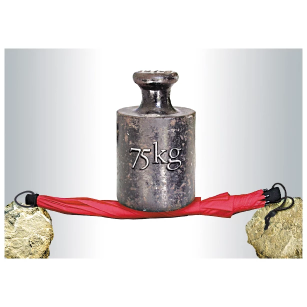 Euroschirm Birdiepal Outdoor - Umbrella 13 Euroschirm Birdiepal Outdoor - Umbrella - Image 11