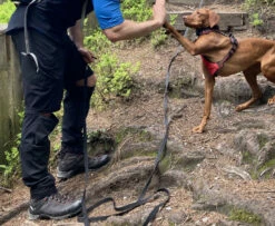 Halti Pallas X-Stretch Lite Zip-Off Pants - Zip-off Trousers 7 Halti Pallas X-Stretch Lite Zip-Off Pants - Zip-off Trousers -Outdoor Equipment Sales Shop halti pallas x stretch lite zip off pants zip off hose 98dba1df51b44ea04d61a3a3dd590d77 1