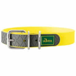 Hunter Collar Convenience - Dog Collar