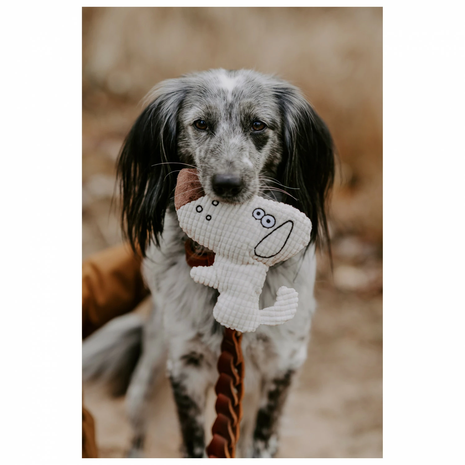 Hunter Dog Toy Barry - Dog Accessories 4 Hunter Dog Toy Barry - Dog Accessories - Image 2