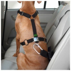 Hunter Harness Car Safety Easy Comfort - Dog Harness -Outdoor Equipment Sales Shop hunter harness car safety easy comfort dog harness detail 6