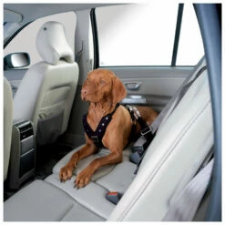 Hunter Harness Car Safety Easy Comfort - Dog Harness -Outdoor Equipment Sales Shop hunter harness car safety easy comfort dog harness detail 7