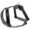 Hunter Harness Neoprene - Dog Harness -Outdoor Equipment Sales Shop hunter harness neoprene dog harness