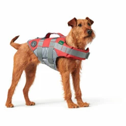 Hunter Swimming Vest Moss - Dog Harness -Outdoor Equipment Sales Shop hunter swimming vest moss dog harness detail 2