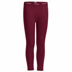 Icebreaker Kids 260 Tech Leggings - Merino Base Layer