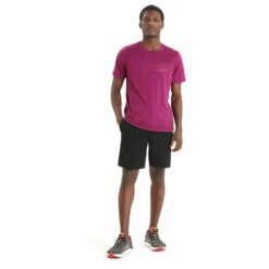 Icebreaker Tech Lite II S/S Tee Mountain Sunset - Merino Shirt 10 Icebreaker Tech Lite II S/S Tee Mountain Sunset - Merino Shirt -Outdoor Equipment Sales Shop icebreaker tech lite ii s s tee mountain sunset merino shirt detail 3