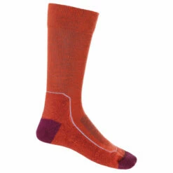 Icebreaker Women's Hike+ Light Crew - Walking Socks