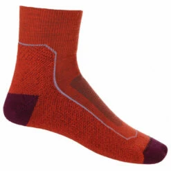 Icebreaker Women's Hike+ Light Mini - Walking Socks