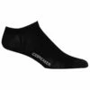 Icebreaker Women's Lifestyle Fine Gauge No Show - Sports Socks