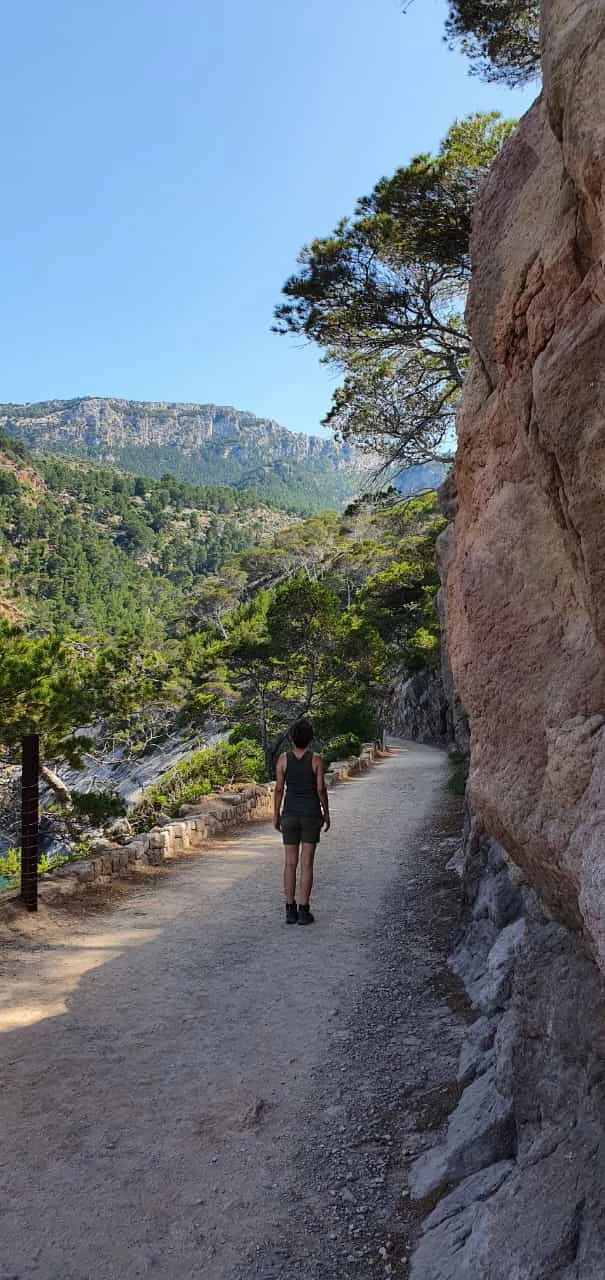 Joha Women's Tank Top 70/30 - Merino Base Layer 4 Joha Women's Tank Top 70/30 - Merino Base Layer - Image 2