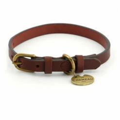 Le Chameau Hundehalsband - Dog Collar