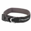 Black Dog Collars - Dog Collar