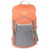 Mystery Ranch In And Out 22 - Daypack