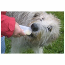 Origin Outdoors Squeeze Tuben Für Hunde - Dog Accessories -Outdoor Equipment Sales Shop origin outdoors squeeze tuben fuer hunde dog accessories detail 3