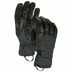 Ortovox Alpine Pro Glove - Gloves