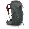 Osprey Talon Pro 30 - Walking Backpack