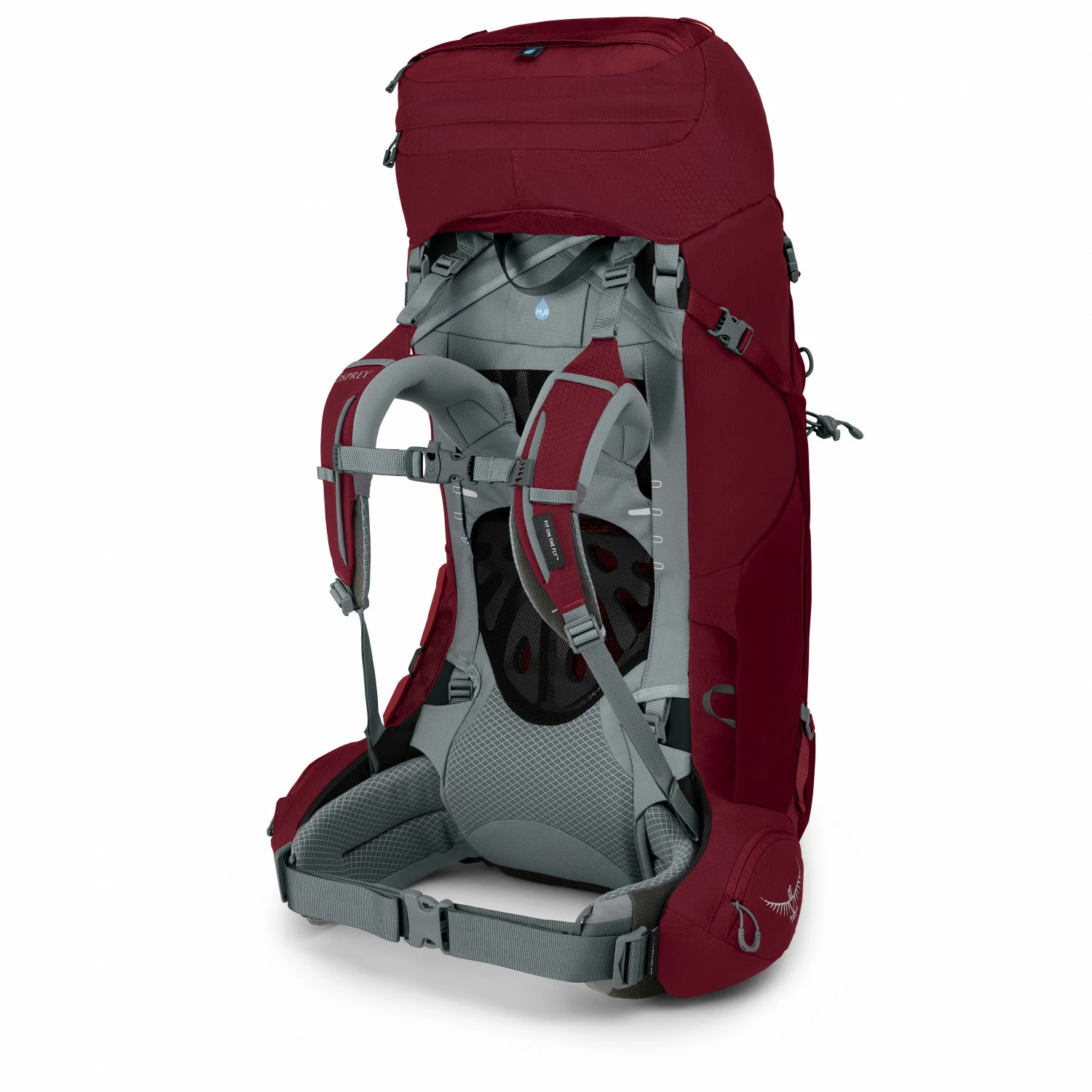Osprey Women's Ariel 55 - Walking Backpack 5 Osprey Women's Ariel 55 - Walking Backpack - Image 3