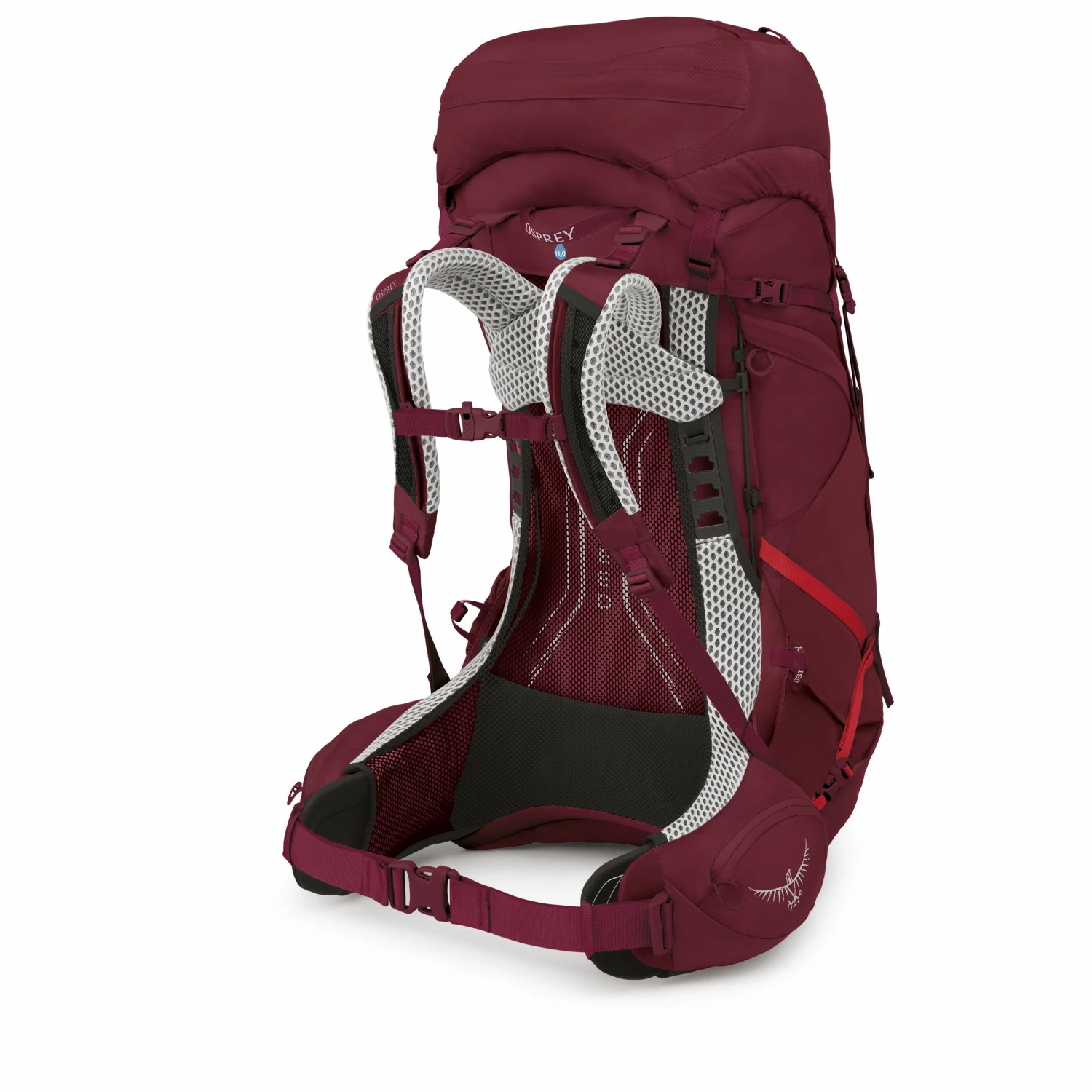 Osprey Women's Aura AG LT 50 - Walking Backpack 5 Osprey Women's Aura AG LT 50 - Walking Backpack - Image 3