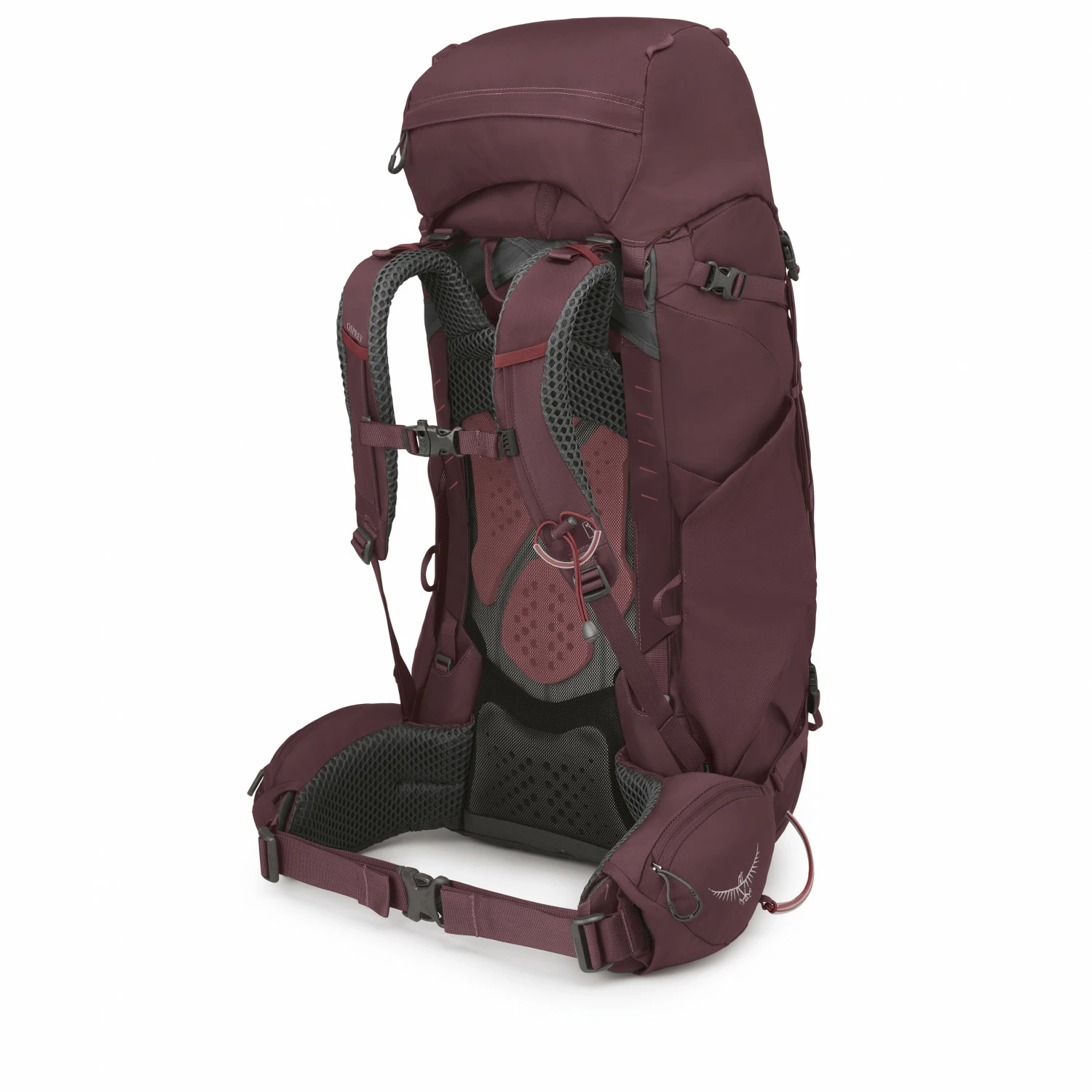 Osprey Women's Kyte 58 - Walking Backpack 5 Osprey Women's Kyte 58 - Walking Backpack - Image 3