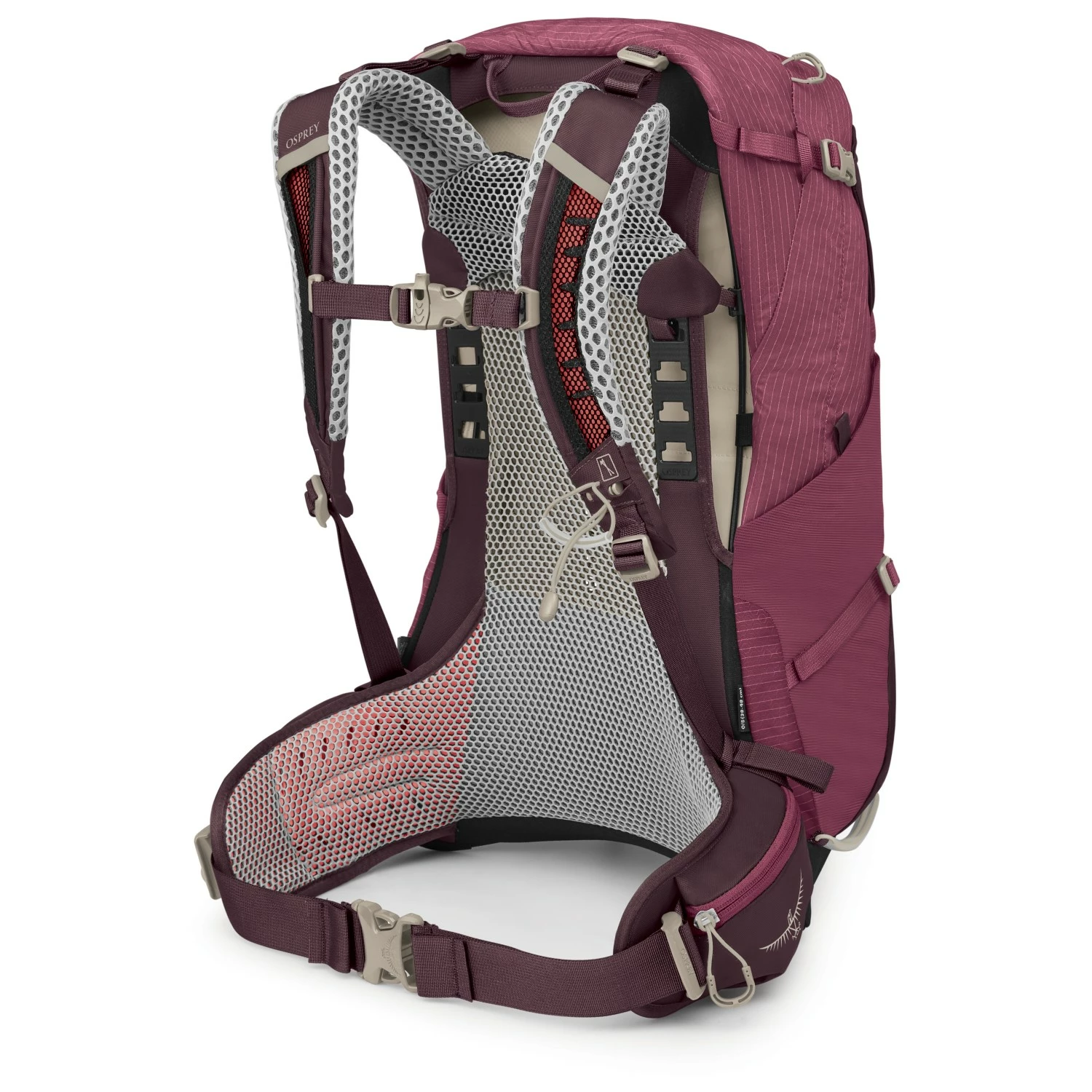 Osprey Women's Sirrus 24 - Walking Backpack 4 Osprey Women's Sirrus 24 - Walking Backpack - Image 2