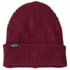 Patagonia Fisherman's Rolled Beanie - Beanie