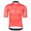 Q36.5 Jersey Shortsleeve R2 Y - Cycling Jersey 2 Q36.5 Jersey Shortsleeve R2 Y - Cycling Jersey -Outdoor Equipment Sales Shop q365 jersey shortsleeve r2 y cycling jersey
