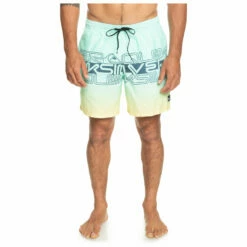 Quiksilver Everyday Wordblock Volley 17 - Swim Brief 10 Quiksilver Everyday Wordblock Volley 17 - Swim Brief -Outdoor Equipment Sales Shop quiksilver everyday wordblock volley 17 swim brief detail 3