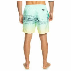 Quiksilver Everyday Wordblock Volley 17 - Swim Brief 12 Quiksilver Everyday Wordblock Volley 17 - Swim Brief -Outdoor Equipment Sales Shop quiksilver everyday wordblock volley 17 swim brief detail 5