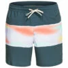 Quiksilver Surfsilk Air-Brush Volley 17NB - Swim Brief -Outdoor Equipment Sales Shop quiksilver surfsilk air brush volley 17nb swim brief
