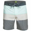 Quiksilver Surfsilk Tijuana 18 - Boardshorts