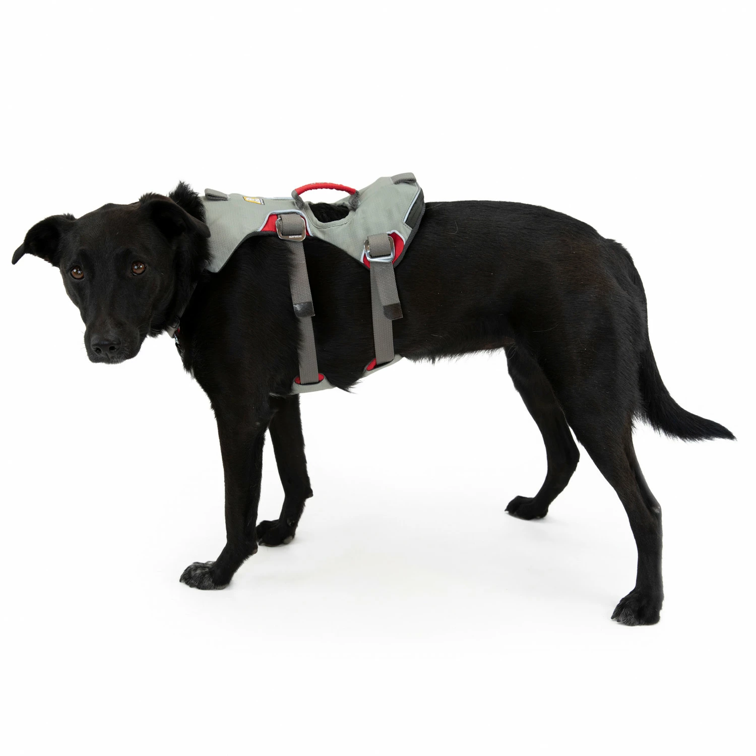 Ruffwear Doubleback Harness - Dog Harness 8 Ruffwear Doubleback Harness - Dog Harness - Image 6
