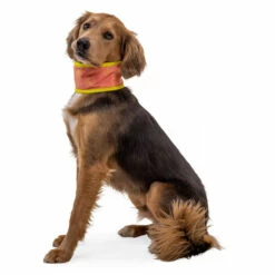 Ruffwear Swamp Cooler Neck Gaiter - Dog Accessories -Outdoor Equipment Sales Shop ruffwear swamp cooler neck gaiter dog accessories detail 4
