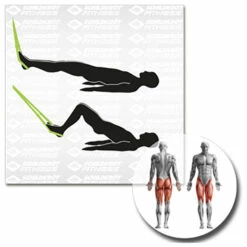 Schlingentrainer / Suspension-Trainer - Suspension Trainers -Outdoor Equipment Sales Shop schildkroet fitness schlingentrainer suspension trainer suspension trainers detail 12