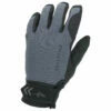 Sealskinz Waterproof All Weather Glove - Gloves
