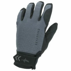 Sealskinz Waterproof All Weather Glove - Gloves