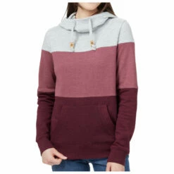 Tentree Women's Treefleece Blocked Banshee Hoodie