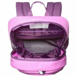 The North Face Youth Court Jester - Kids' Backpack 9 The North Face Youth Court Jester - Kids' Backpack -Outdoor Equipment Sales Shop the north face youth court jester kids backpack detail 3