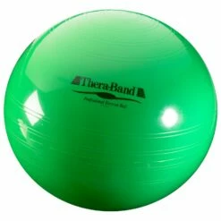 TheraBand ABS Exercise Ball